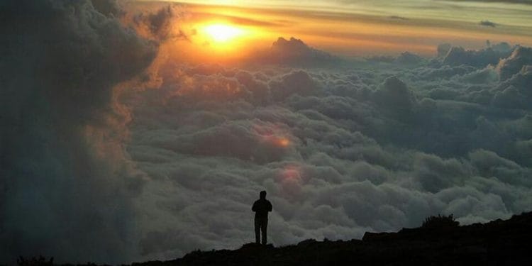 Seja humilde hoje e amanhã seja o melhor