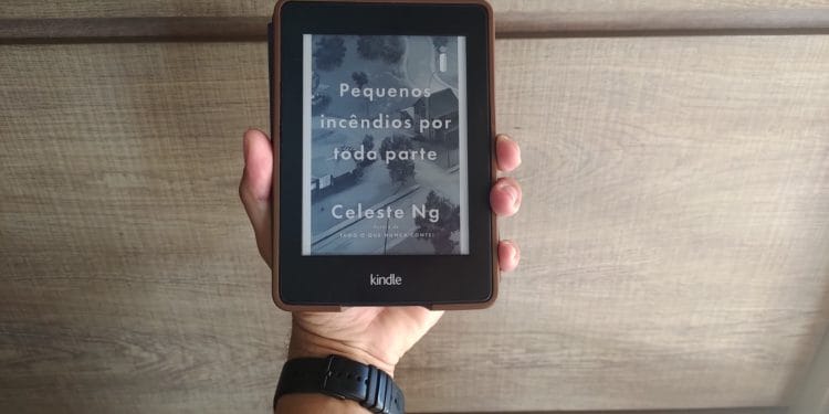 Resenha: Pequenos Incêndios por Toda Parte (Little Fires Everywhere)