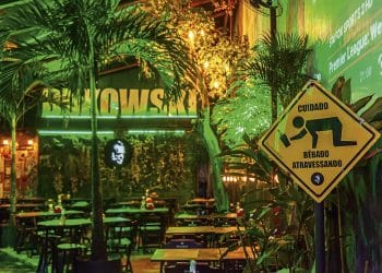 Conto: I Will Survive